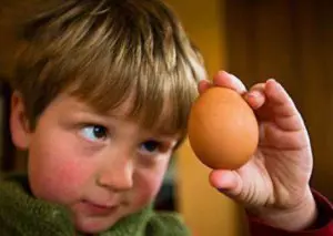мальчик держит куриное яйцо