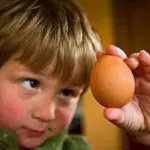 мальчик держит куриное яйцо